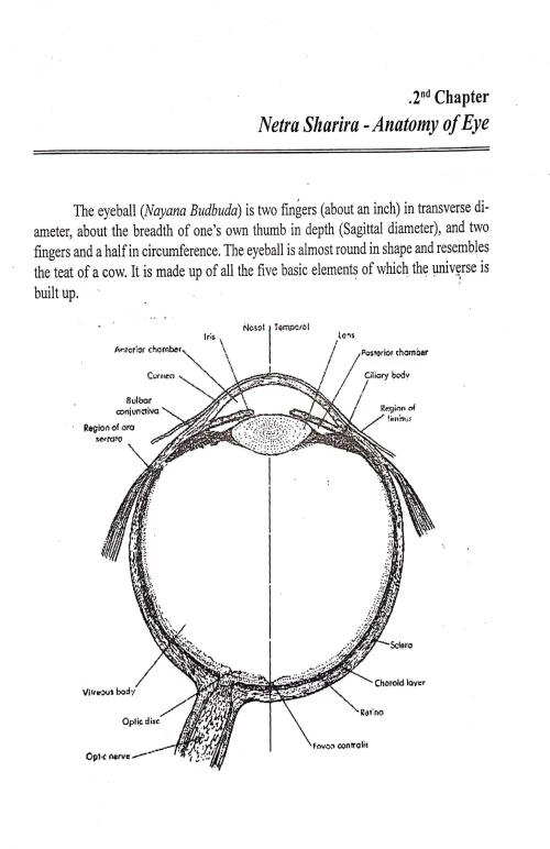 Netraroga Vijnana (English)